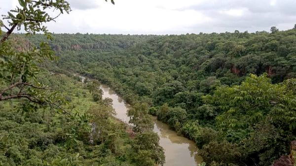 rakesh tikait on forest land water save rakesh tikait on forest land water save