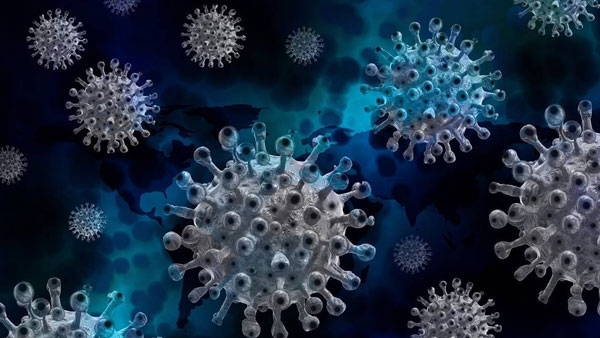 NIV Pune detects new Covid variant, new Covid variant in pune, NIV Pune, Covid variant, Pune, Covid new variant, coronavirus, pune, पुणे में कोरोना का नया वेरिएंट, एनआईवी पुणे, पुणे, कोरोना वायरस NIV Pune detects new Covid variant, new Covid variant in pune, NIV Pune, Covid variant, Pune, Covid new variant, coronavirus, pune, पुणे में कोरोना का नया वेरिएंट, एनआईवी पुणे, पुणे, कोरोना वायरस
