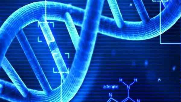 dna dna