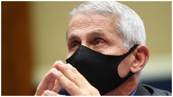 dr anthony fauci dr anthony fauci