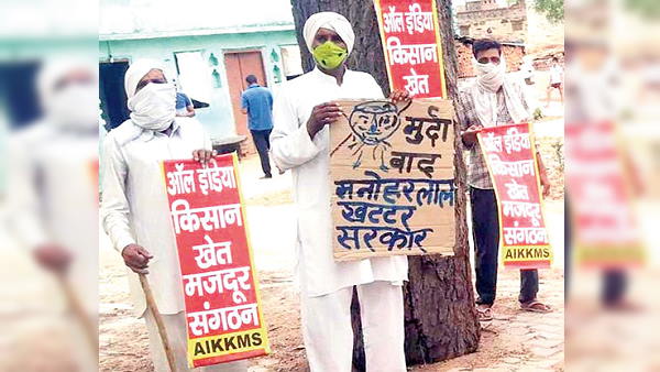 Kisan Sanyukt Morcha protesters dismissed the foundation stone of BJPs district quarter in Jhajjar Kisan Sanyukt Morcha protesters dismissed the foundation stone of BJPs district quarter in Jhajjar