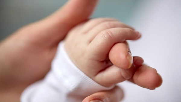 Newborn Newborn