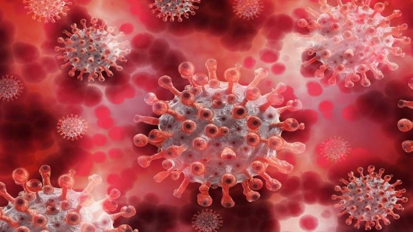 coronavirus coronavirus