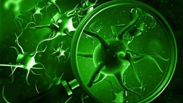 फंगल इंफेक्शन को कैसे कंट्रोल करें?