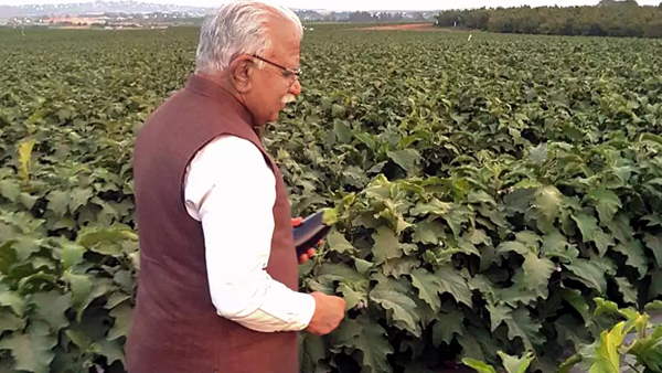 Good news for the farmers of Haryana Good news for the farmers of Haryana