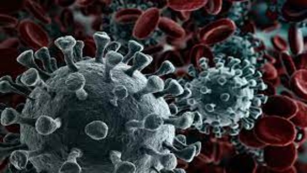 Genome sequencing machine will be installed in Bhopal to test mutants of corona virus Genome sequencing machine will be installed in Bhopal to test mutants of corona virus