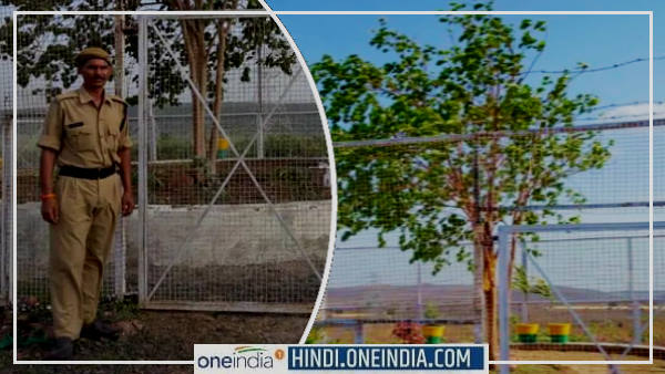 Indias first VVIP tree Indias first VVIP tree