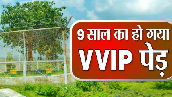 Indias first VVIP tree details on World Environment Day2021 Indias first VVIP tree details on World Environment Day2021