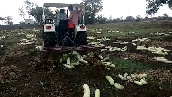 गौतमपुरा इलाके के किसान महेश भूत की पीड़ा