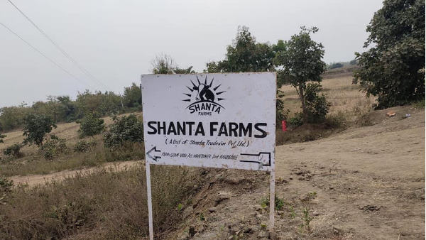 शांता डेयरी फार्म इंदौर एमपी