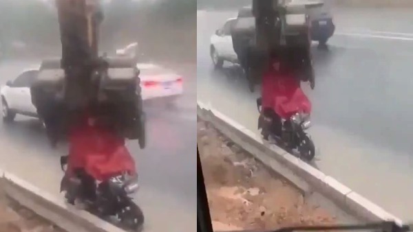 video viral video viral
