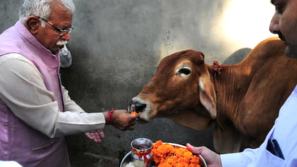 Solar plants are being installed at Gaushalas in Haryana, Chief Minister Manohar Lal Khattar says- one hospital each districts for cow Solar plants are being installed at Gaushalas in Haryana, Chief Minister Manohar Lal Khattar says- one hospital each districts for cow