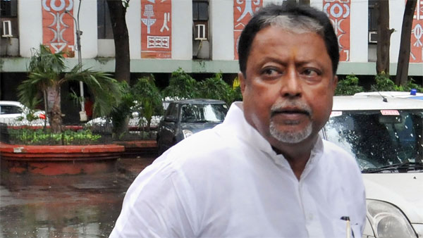 mukul mukul
