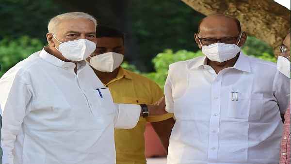 Congress spoke for the first time on Sharad Pawars campaign on the Third Front, only BJP would benefit from this Congress spoke for the first time on Sharad Pawars campaign on the Third Front, only BJP would benefit from this