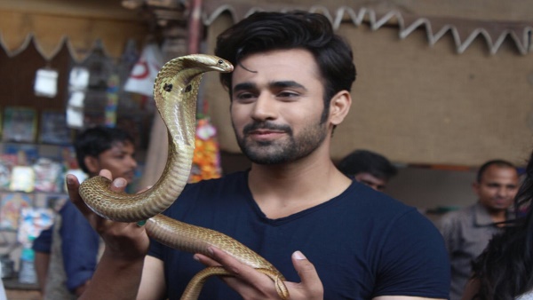 pearl V Puri pearl V Puri