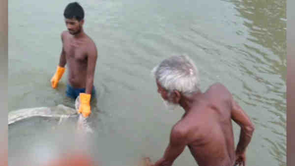 Prayagraj News: Water level of Ganga increased due to rain, bodies buried in sand found again Prayagraj News: Water level of Ganga increased due to rain, bodies buried in sand found again