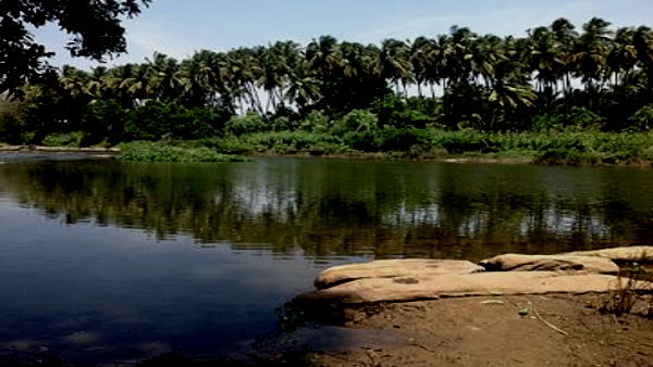 जीपीसीबी प्रशासन सुरक्षा करने में विफल