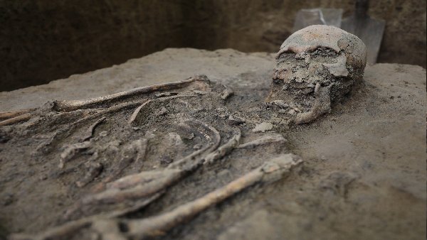 पुरातत्वविदों का एक दुर्लभ उदाहरण