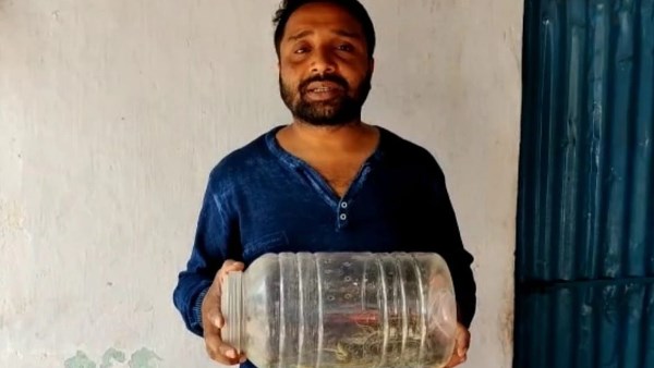 घर से हर कोने से निकल रहे थे सांप