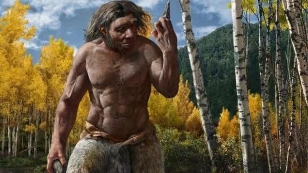 कैसे बनाया गया वंश वृक्ष?