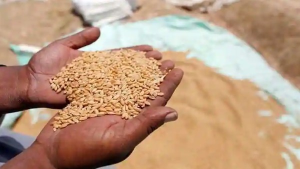 uttar pradesh government made new record in wheat procurement uttar pradesh government made new record in wheat procurement