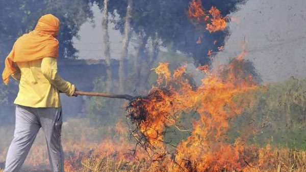 Action plan ready to stop parali burning in Uttar pradesh Action plan ready to stop parali burning in Uttar pradesh