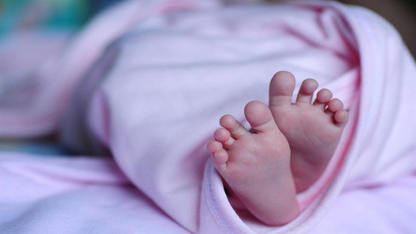 बच्चों को अगले कुछ महीने इन्क्यूबेटरों में रखा जाएगा