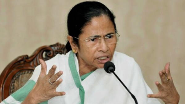 mamata mamata