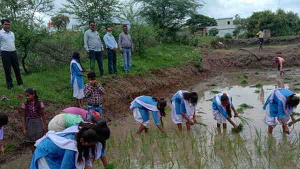 chhattisgarh bemetara teachers teaching farming to student chhattisgarh bemetara teachers teaching farming to student