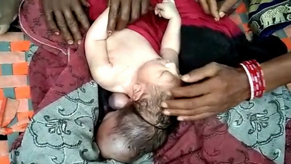 कुदरत का करिश्मा या कुछ और