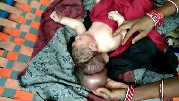 भगवान समझ लोग कर रहे पूजा