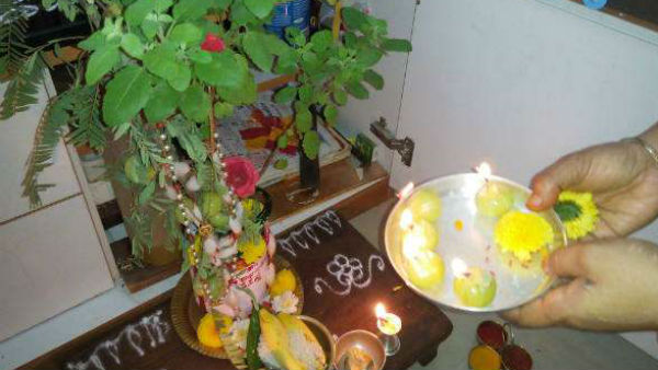 Tulasi Mata Chalisa in Hindi: यहां पढे़ं तुलसी चालीसा, जानें महत्व और लाभ Tulasi Mata Chalisa in Hindi: यहां पढे़ं तुलसी चालीसा, जानें महत्व और लाभ