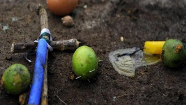 four dead body found in agra four dead body found in agra