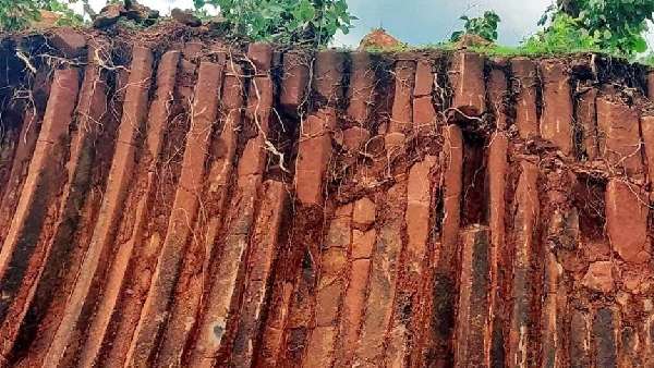60 लाख साल पुराने शंख के जीवाश्म भी मिले