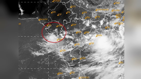 Heavy rainfall in Gujarat, 10 dams of Saurashtra overflow, cattle submerged in river Heavy rainfall in Gujarat, 10 dams of Saurashtra overflow, cattle submerged in river