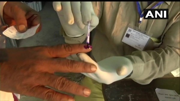 panchayat elections panchayat elections