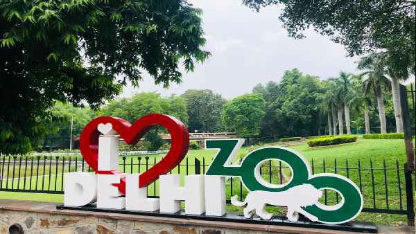 delhizoo delhizoo