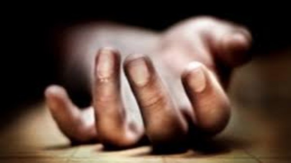 महिला की सबसे अच्छी दोस्त थी बिल्ली