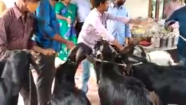 Andhra father Andhra father