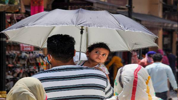 इन राज्यों में सबसे ज्यादा मौतें