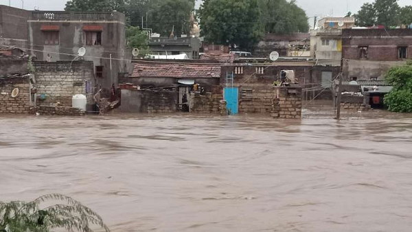 Heavy rainfall in Gujarat, 10 dams of Saurashtra overflow, cattle submerged in river Heavy rainfall in Gujarat, 10 dams of Saurashtra overflow, cattle submerged in river