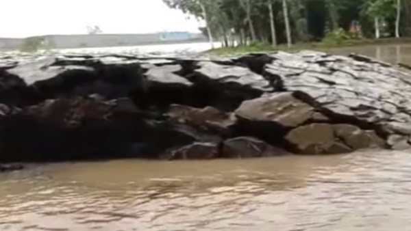 क्या है इस खौफनाक घटना की वजह