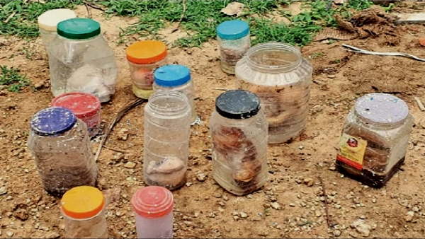 Human embryos found in plastic bottles on the road Sidhpur, north Gujarat Human embryos found in plastic bottles on the road Sidhpur, north Gujarat