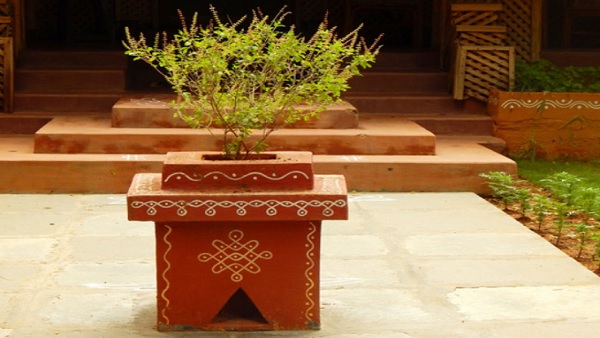 यहां पढे़ं तुलसी चालीसा, जानें महत्व और लाभ यहां पढे़ं तुलसी चालीसा, जानें महत्व और लाभ