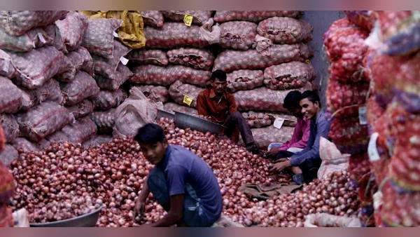 onion cultivation on 6 thousand hectares of land in talaja taluka of bhavnagar District of Gujarat onion cultivation on 6 thousand hectares of land in talaja taluka of bhavnagar District of Gujarat