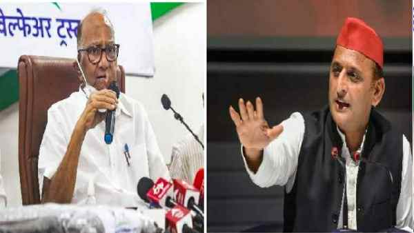 यूपी में एनसीपी के साथ भी सपा का होगा गठबंधन