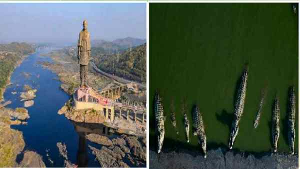 पंचमुली झील से हटाए गए 194 मगरमच्छ