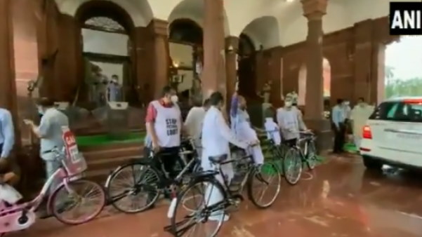 Trinamool Congress (TMC) MPs protest against the rise in prices of petrol, diesel and LPG Trinamool Congress (TMC) MPs protest against the rise in prices of petrol, diesel and LPG
