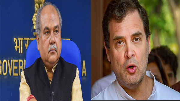 tomarrahul tomarrahul