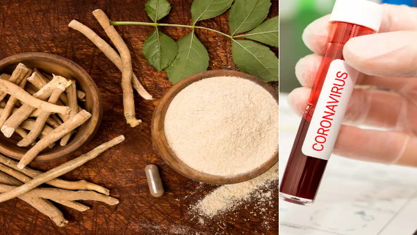 India, UK to conduct clinical trials of Ashwagandha for promoting recovery from COVID 19 India, UK to conduct clinical trials of Ashwagandha for promoting recovery from COVID 19